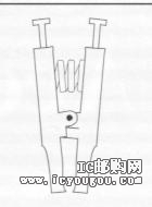 c鿴923695DƬ