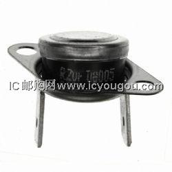 R2008015A119DƬ