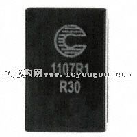 FP1107R1-R30-RDƬ