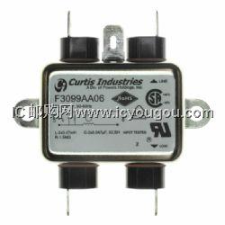 F3099AA06DƬ