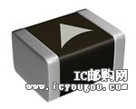 B57421V2103K62DƬ