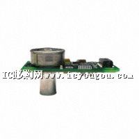 IPT0020A33RDƬ