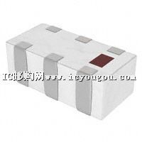 2450BL14C100TDƬ