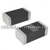 2450BP07A0100TDƬ