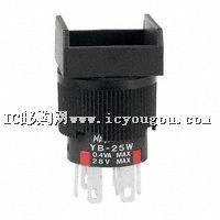 YB25WSKG01-DƬ
