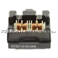 EV28-1.0-02-36MDƬ