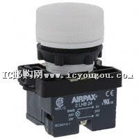 ASP2PLB1LB24DƬ