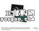 S29GL128P10FFI010DƬ