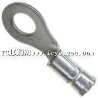 c鿴31772DƬ