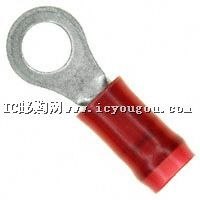 c鿴31886DƬ