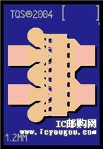 TGF2022-12DƬ
