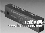 RT12C2L100DƬ