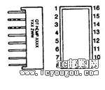 HLMP2B85DƬ