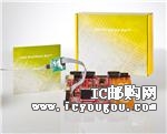 KSK-STM32F407ZG-JLDƬ