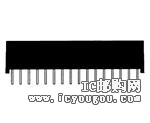 DS1248W-120+DƬ