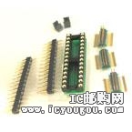 XLT28SSDƬ