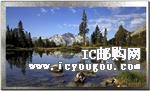c鿴AWT-1280800T7N01DƬ
