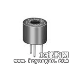 c鿴PV12H100A01B00DƬ
