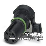 c鿴1432431DƬ