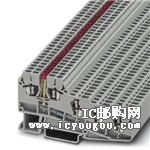 3006519DƬ