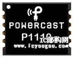 P1110DƬ