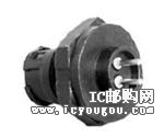 17281-2PG-3ESDƬ
