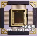 SMV512K32HFGDƬ