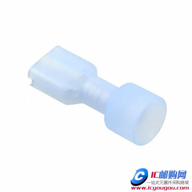 190030053DƬ