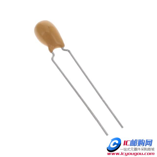 199D107X9010E6V1DƬ