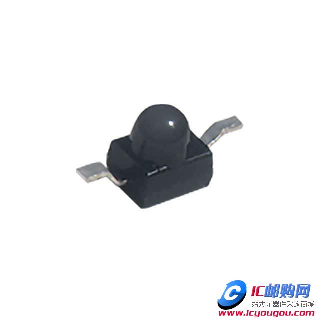 AM2520PD1BT09DƬ