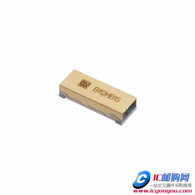 B112MB1SDƬ