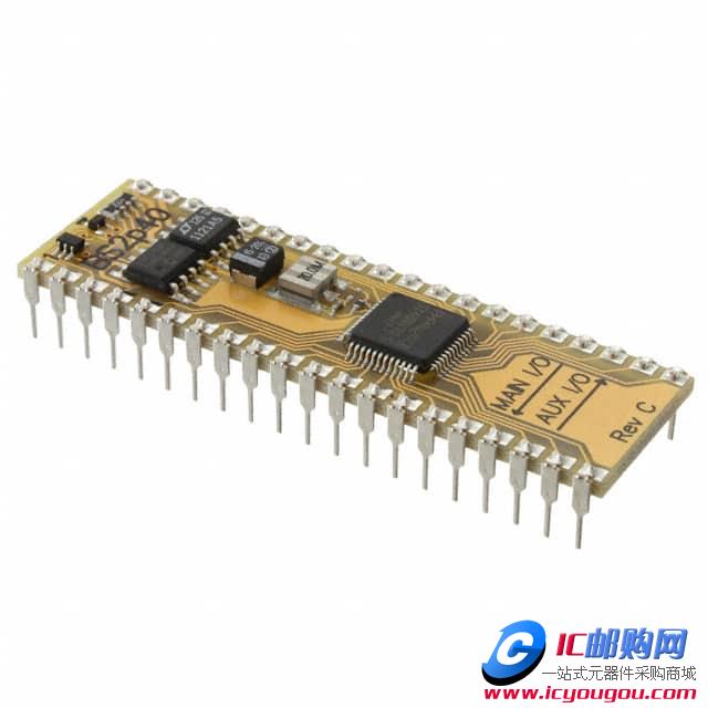 BS2P40DƬ