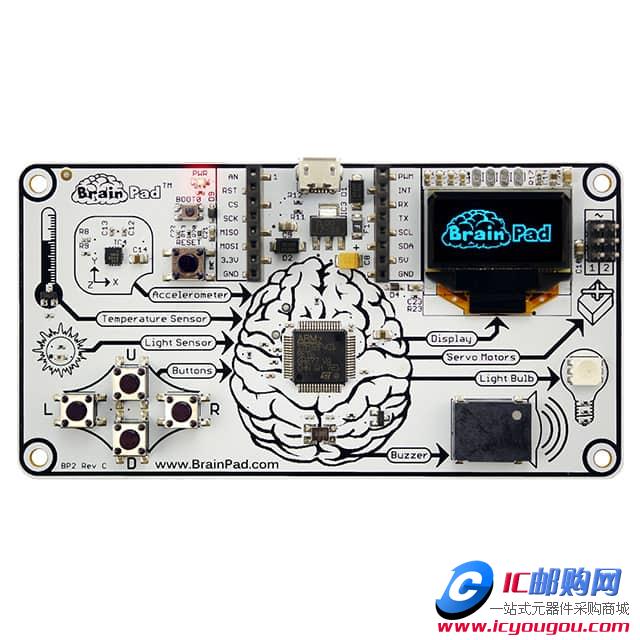 BRAINPAD-BP2DƬ