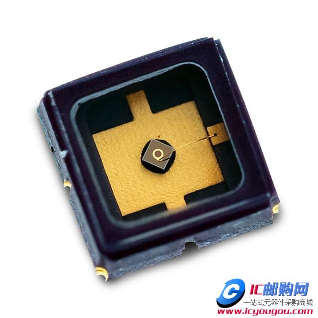 C30645L-080DƬ