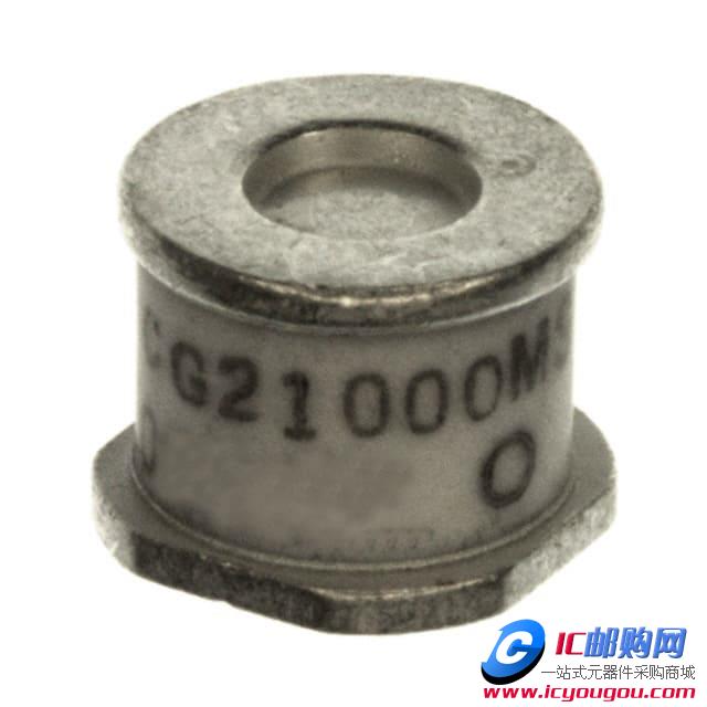 CG21000LSTRDƬ