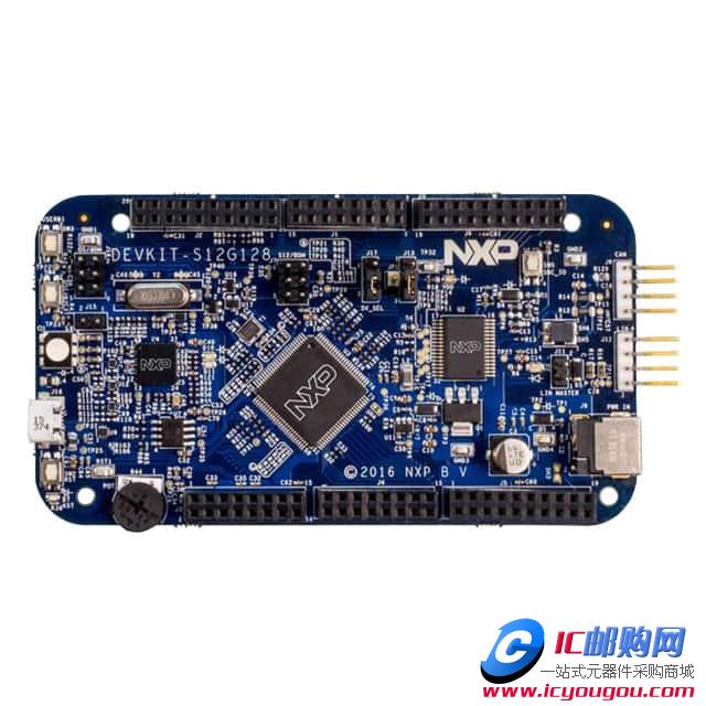 DEVKIT-S12G128DƬ