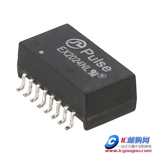 EX2024NLDƬ