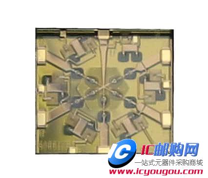 MASW-005102-13600WDƬ