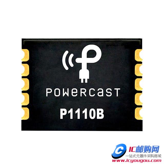 P1110BDƬ