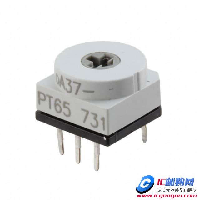 c鿴PT65731DƬ
