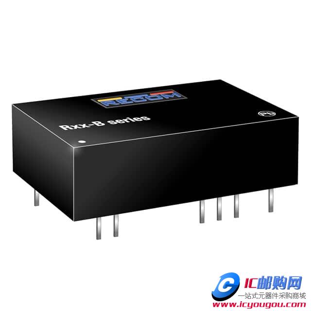R12-100BDƬ