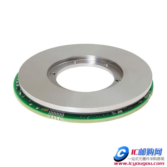 RAMK060M11319FB661DƬ