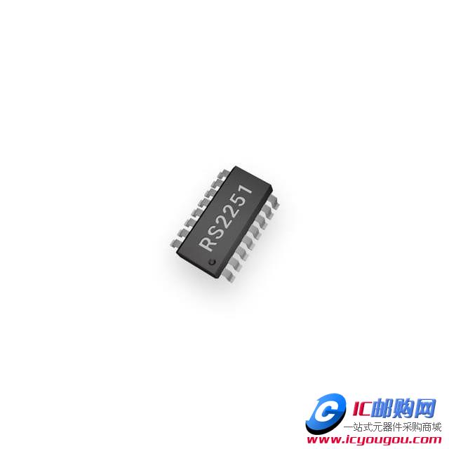RS2251XTSS16DƬ