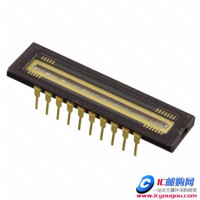 RL2048PAG-021DƬ