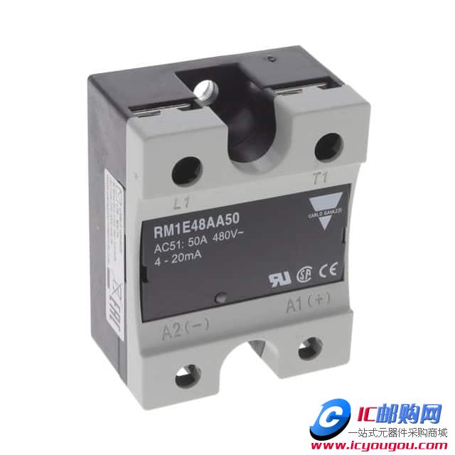 RM1E48AA50DƬ